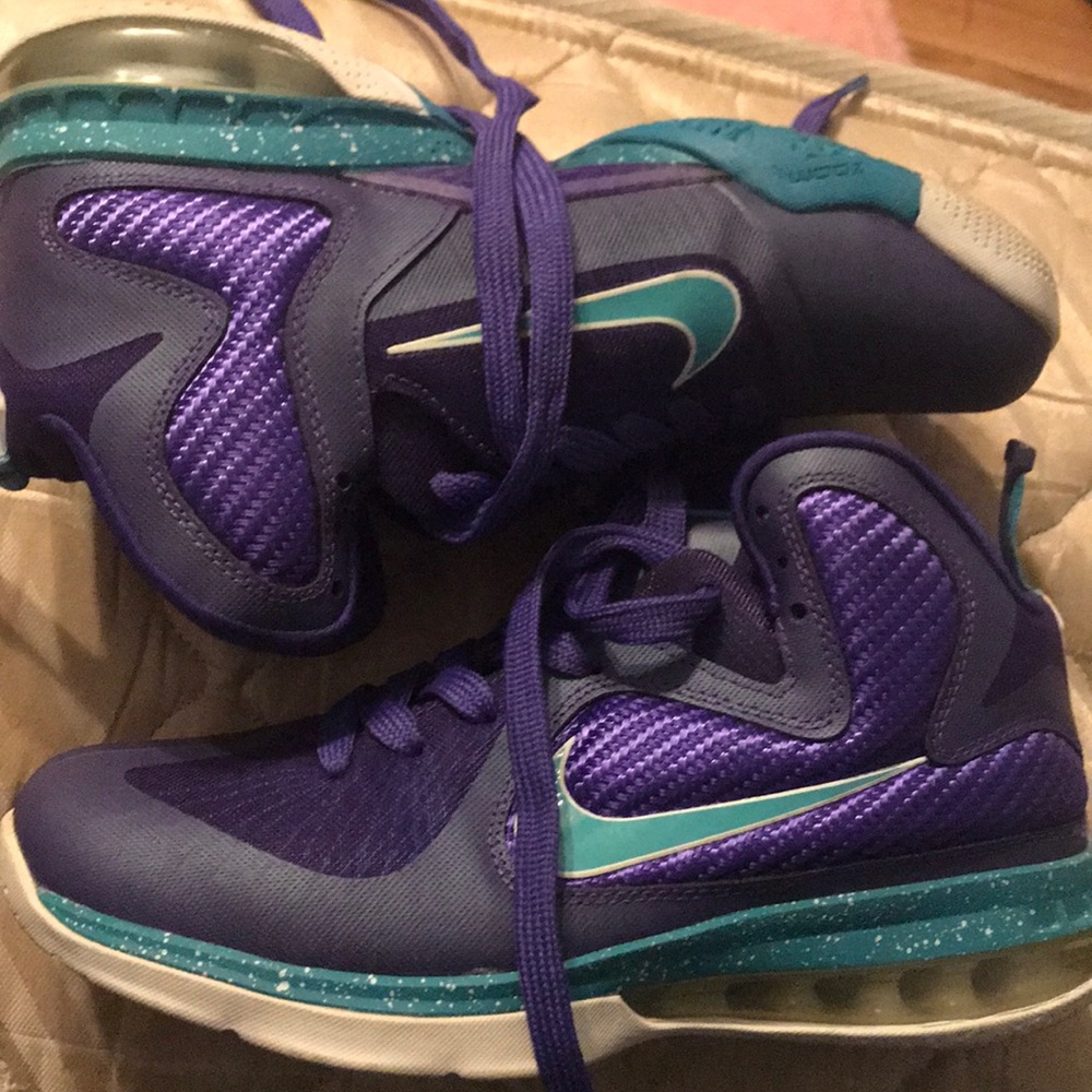 Lebron 9 Hornets